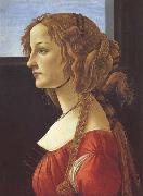 Sandro Botticelli Porfile of a Young Woman (mk45) France oil painting artist
